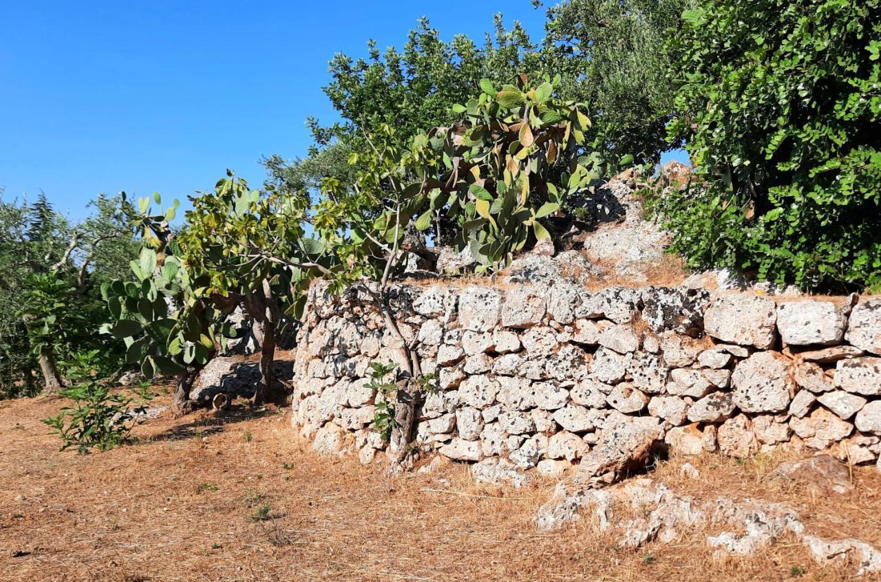 Villa I Due Carrubi Ostuni Esterno foto