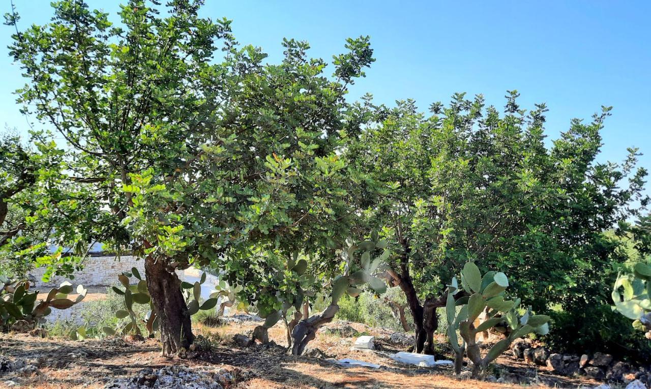 Villa I Due Carrubi Ostuni Esterno foto