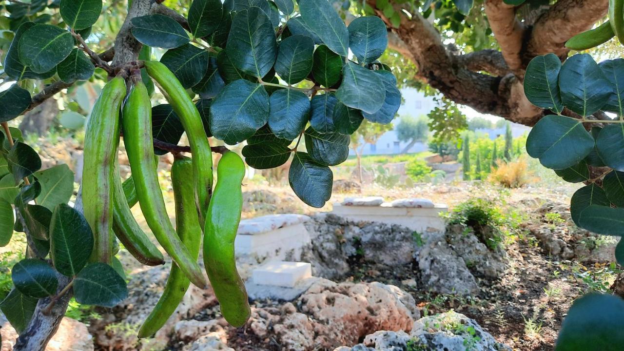 Villa I Due Carrubi Ostuni Esterno foto